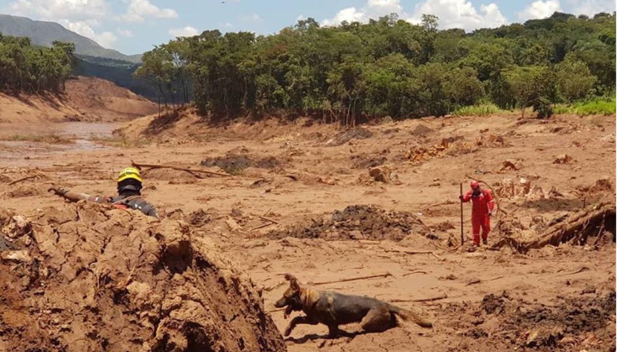 A importante ajuda da Rede Estadual do Voluntariado Transformador em Brumadinho