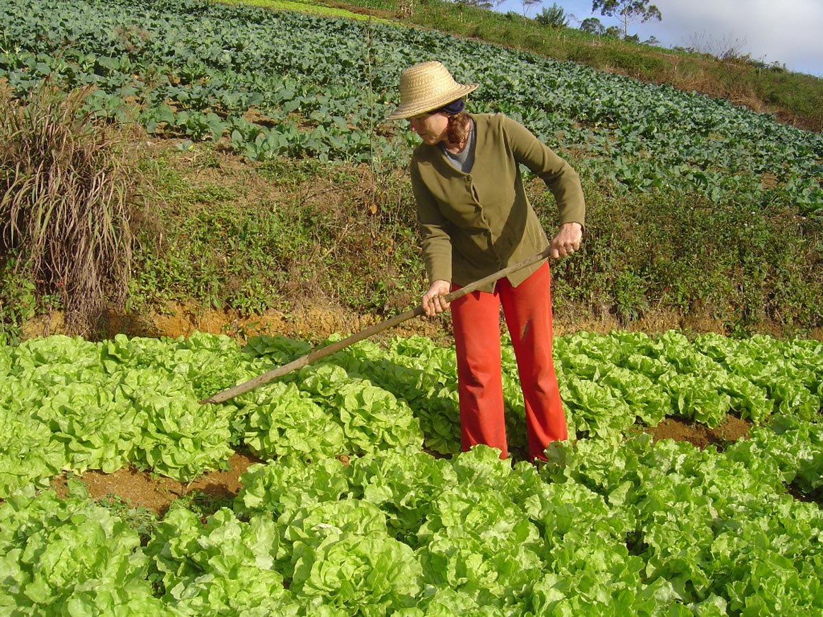 PFDC e entidades alertam para prejuízos a trabalhadores do campo