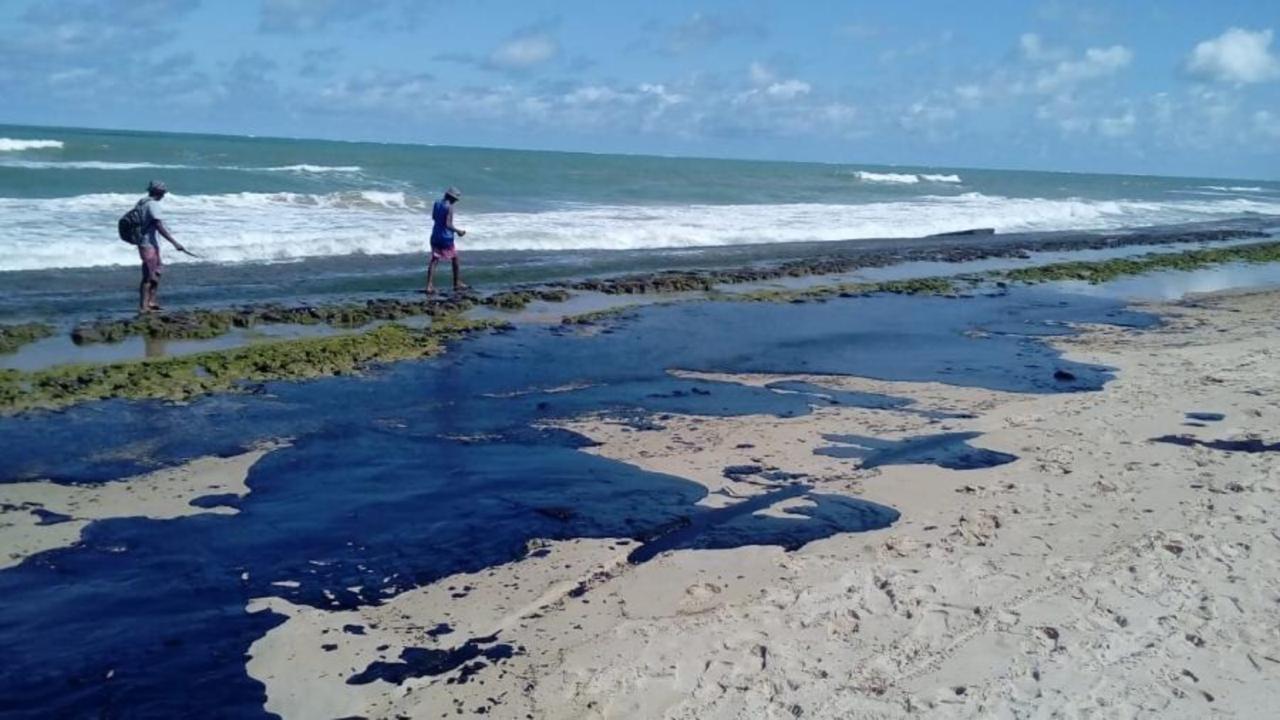 Perita em danos ambientais por vazamento de óleo alerta: Estamos sendo feitos de tolos. Como veem manchas chegarem às praias e não acionam imagens dos satélites?