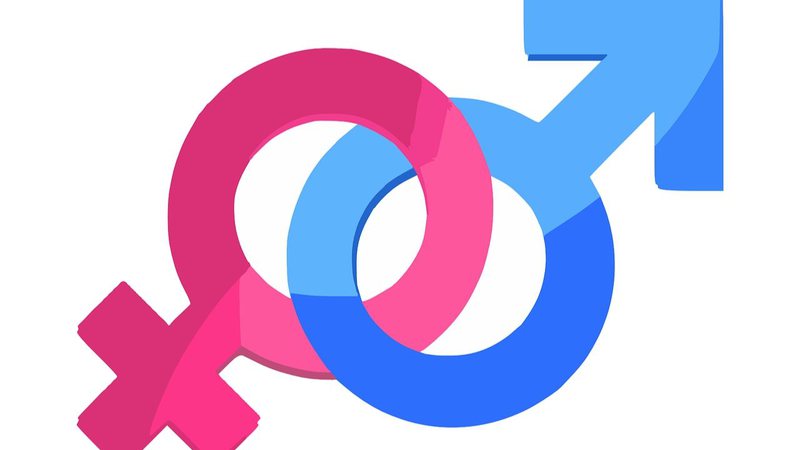 Dominação masculina: uma expressão redundante?