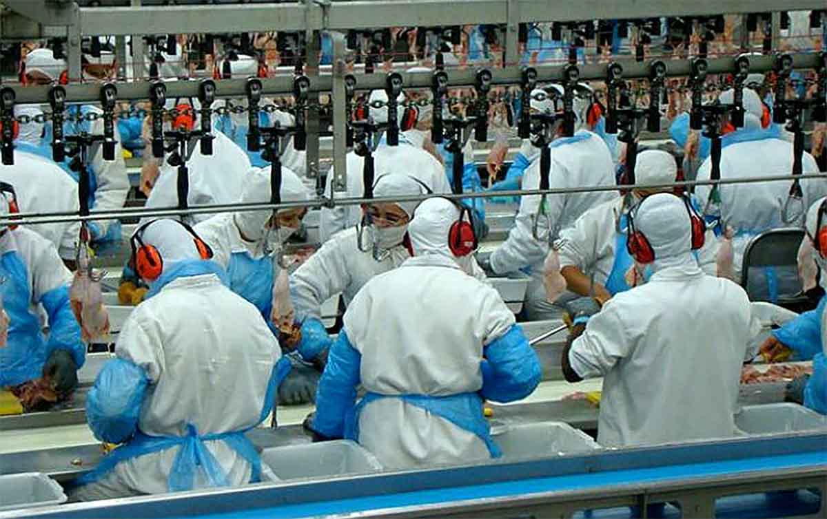 Norma que protege trabalhadores nos frigoríficos completa 10 anos