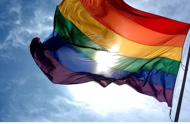 ‘Pobres criaturas’: a proibição de crianças participarem de Paradas LGBTQIA+