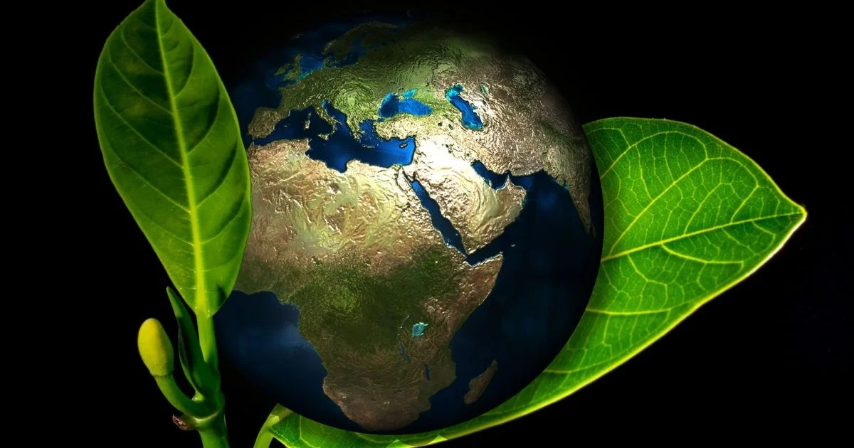Coletivo Transforma MP adere à Carta de Cuiabá pela Reparação Integral dos Danos à Biodiversidade e ao Clima