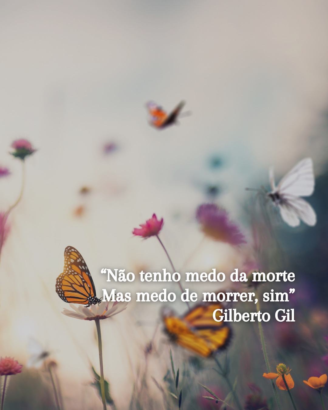 Confirmado: vamos morrer
